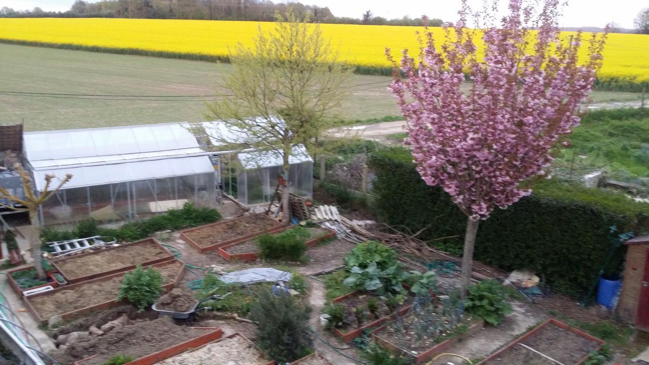 Les Nympheas, Appart Au Calme Et Grand Jardin A 15 Min De Disneyland, Crecy-la-Chapelle Exterior foto